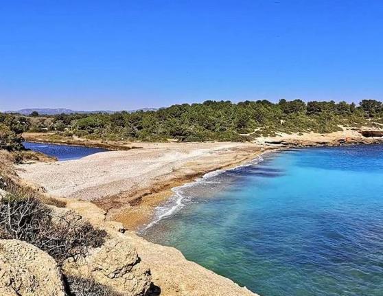 Lacasadelmarametlla L'Ametlla de Mar Eksteriør billede